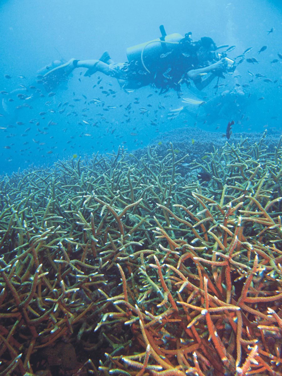 Discovering the hidden treasures of Tioman, Pahang.Pictures COURTESY OF Dr Affendi Yang Amri.