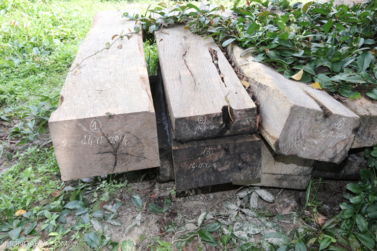 https://news.mongabay.com/2017/06/long-plagued-by-illegal-logging-cambodia-faces-accusations-of-corruption/