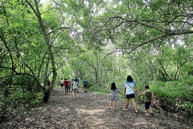 Kuala Selangor Nature Park