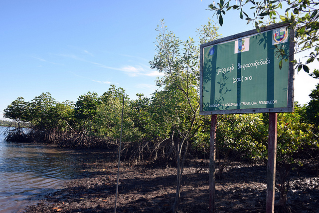 Worldview International Foundation (WIF) signboard by a mangrove forest in Shwe Thaung Yan sub township in Ayyerwady region of Myanmar. Credit: Stella Paul/IPS