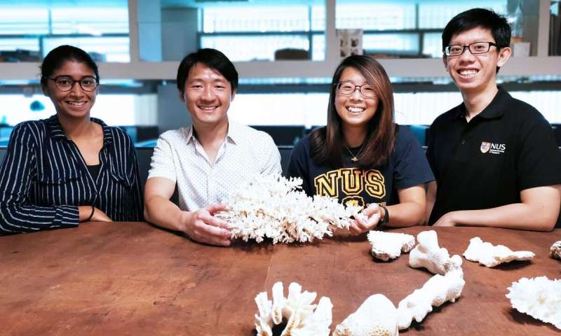 Assistant Professor Huang Danwei (second from left) from the NUS Department of Biological Sciences, together with his team members (from left) Ms Sudhanshi Jain, Ms Gwendolyn Chow, and Mr Samuel Chan, examined nearly 3,000 corals from 124 species at two reef sites in Singapore. Credit: Yip Zhi Ting