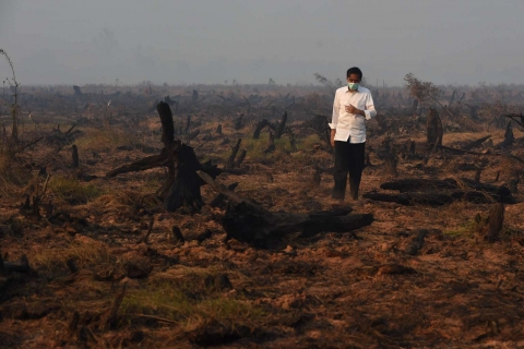 Indonesia sees drop in hotspots due to peatland restoration efforts, says agency