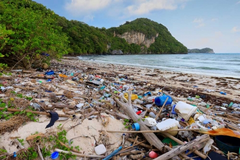 Why Do So Many Plastic Bottles Wash Up On Inaccessible Island? It’s Ships, Scientists Say