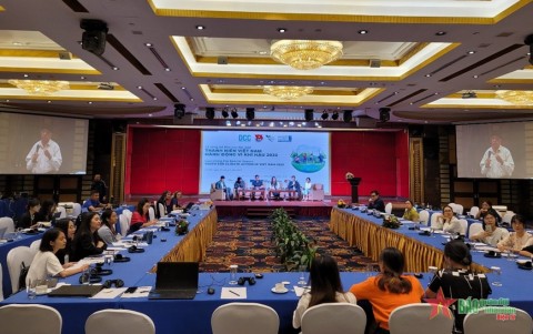 Report on youth action for climate change in Vietnam launched