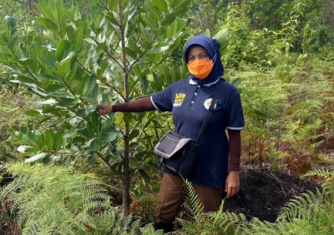 UNEP supports project to restore peatlands in Indonesia