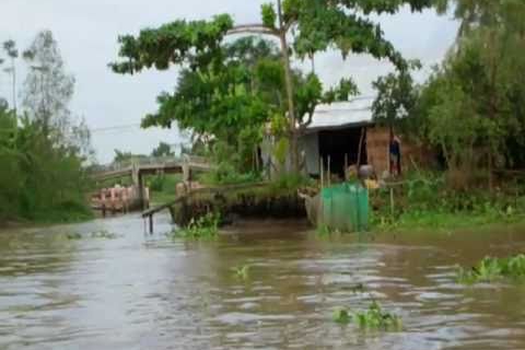 Climate Change Adaptation in Vietnam's Mekong Delta