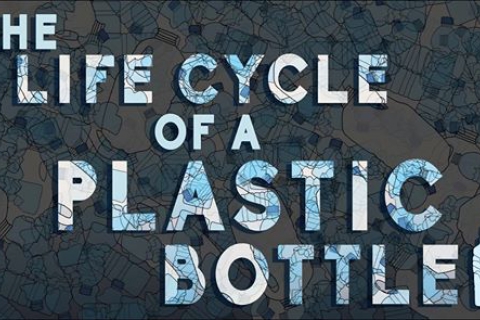 The Life Cycle of a Plastic Bottle