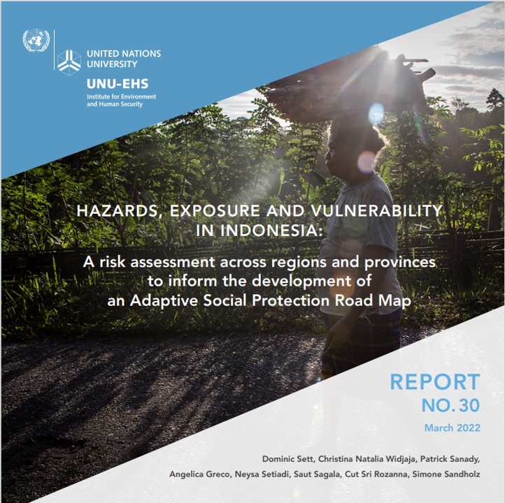 Hazards, Exposure and Vulnerability in Indonesia: A Risk Assessment Across Regions and Provinces to Inform the Development of an Adaptive Social Protection Road Map