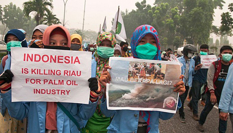 Against global warming — School students and environmental activists stage a peaceful rally to protest land clearing using the slash-and-burn method, which has lead to land and forest fires in Riau.(Tempo/-)