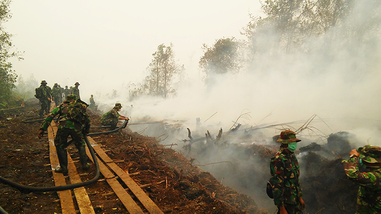 Indonesian military personnel fighting a large peat fire near the city of Palangkaraya in the Indonesian province of Central Kalimantan on Borneo. (October 14, 2015, David Gaveau, Center for International Forestry Research)