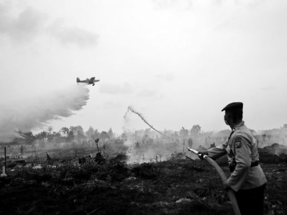 A water bomber dropping its payload as a police officer tries to extinguish a peat fire in Kampar, Riau province, in Sumatra in August. The reduction in fires this year must be credited to not only wetter weather, but also the political will and concerted efforts of the government of President Joko Widodo. PHOTO: REUTERS