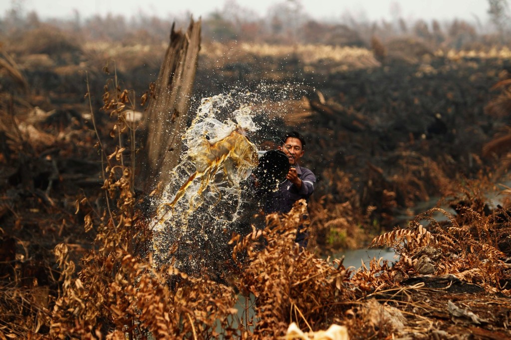 A worker pours water to extinguish a fire burning through his pineapple plantation in Tanah Putih, Riau, on June 26, 2013. (Reuters Photo)
