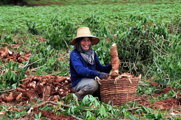 Relevant institutions need to work together in tackling climate change issues that affect the agriculture industry and those who depend on it for their subsistence and livelihood. Photo: Neil Palmer/CIAT