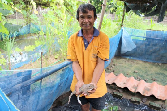 Kongsy and his frogs. Photo: UNDP Lao PDR/Somlith Khounpaseuth