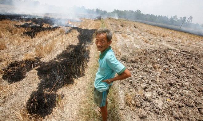 A farmer burns his dried-up rice on a paddy field stricken by drought in Soc Trang province in Mekong Delta in Vietnam. Photo by Reuters/Kham