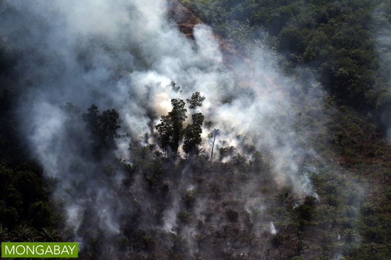 Fire set for peatland clearing burn in Indonesia’s Riau province in July 2015 (Photo by Rhett A. Butler)