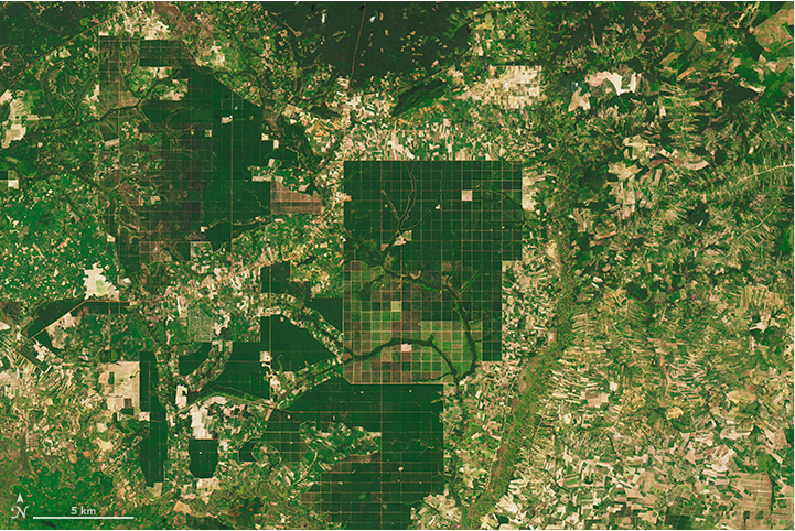 Image captured in 2013. NASA Earth Observatory images by Joshua Stevens, using Landsat data from the U.S. Geological Survey and Global Forest Watch