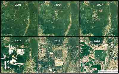 Satellite imagery from Google Earth show rubber plantations and associated deforestation ramping up over the past six years.