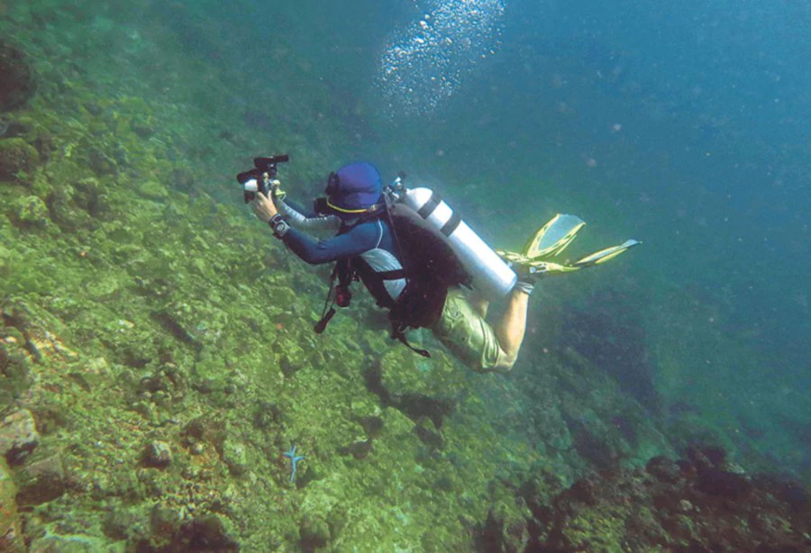 Coral survey at Pulau Weh, Indonesia.