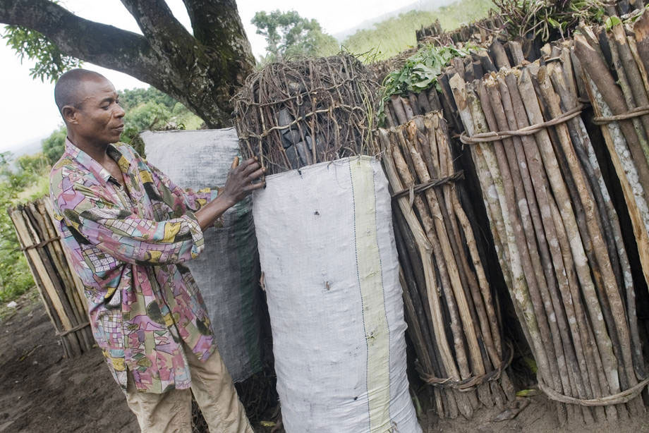 Efficient charcoal manufacture and use can help mitigate climate change. A man arranging bags of charcoal to a temporary holding area in Ntendesi, the Democratic Republic of the Congo. Photo: FAO/Giulio Napolitano