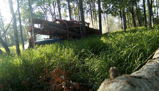 A truck transports timber to Vietnam from the Lumphat Wildlife Sanctuary in Ratanakkiri province in January this year. Photo supplied