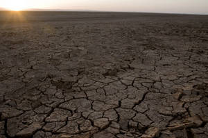 Parched earth in Kenya, one of the East African countries currently feeling the impacts of drought.