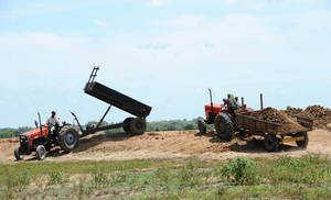 Farmers unload soil in Sri Lanka.