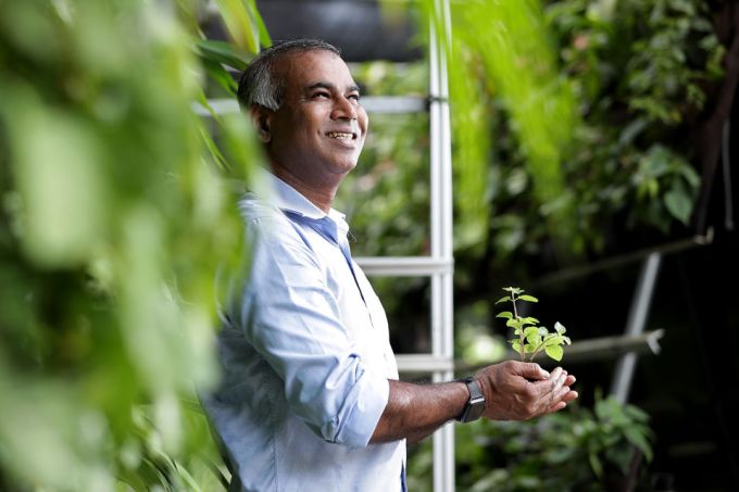 "Employers are starting to recognise the benefits of having greenery in work spaces," says Mr Veera, who set up Greenology in 2008, during the financial crisis . PHOTO: KELVIN CHNG
