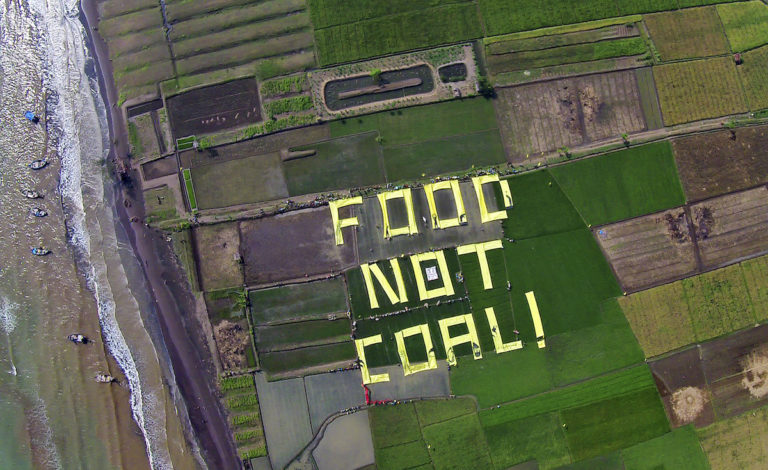 Activists send a message in the middle of Ponowareng village rice fields to show their opposition to a coal-fired power plant in Batang, Central Java. Photo courtesy of Greenpeace.