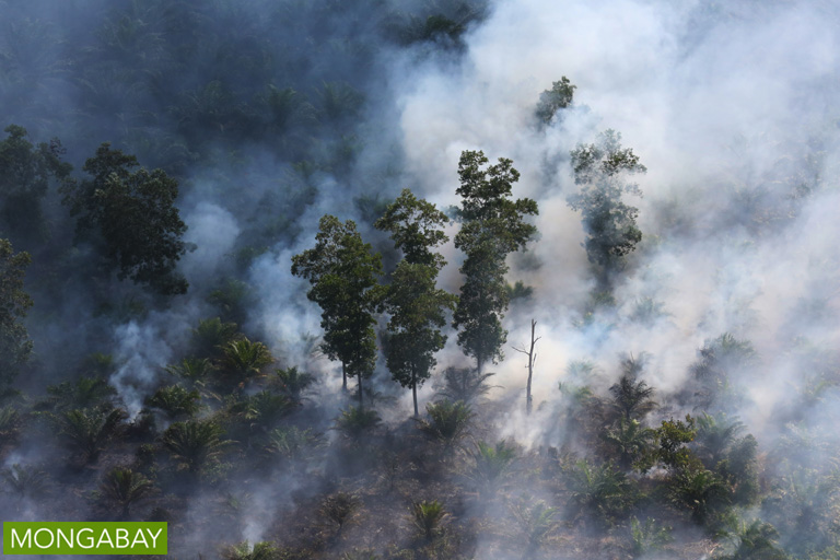 A peatland burns in Indonesia’s Riau in 2015. The province is a center of palm oil and timber production. Photo by Rhett A. Butler/Mongabay.