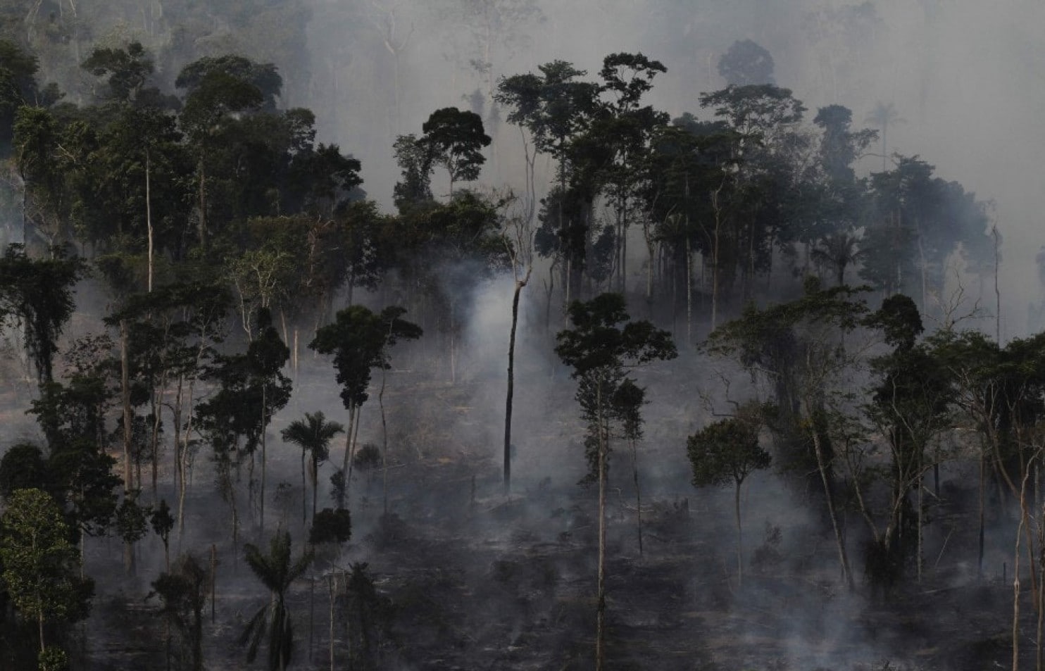 Smoke billows as an area of the Amazon rain forest is burned to clear land for agriculture on Sept. 23, 2013, near Novo Progresso, in Brazil’s Para state. (Nacho Doce/Reuters)