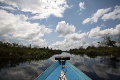 A boat travels up one of many drainage canals in Central Kalimantan, Indonesia. Dug as part of Indonesia's Mega Rice Project in the mid 1990s, the canals drain surrounding forests of water, making them highly susceptible to fires. Image Credit: Flickr / dfataustralianaid