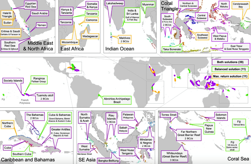 Results of the 50 Reefs work. The 50 areas of coral reefs chosen as part of a “balanced risk” portfolio are outlines in purple and green boxes. Additional reef areas in orange boxes may also yield high conservation returns. (Conservation Letters)