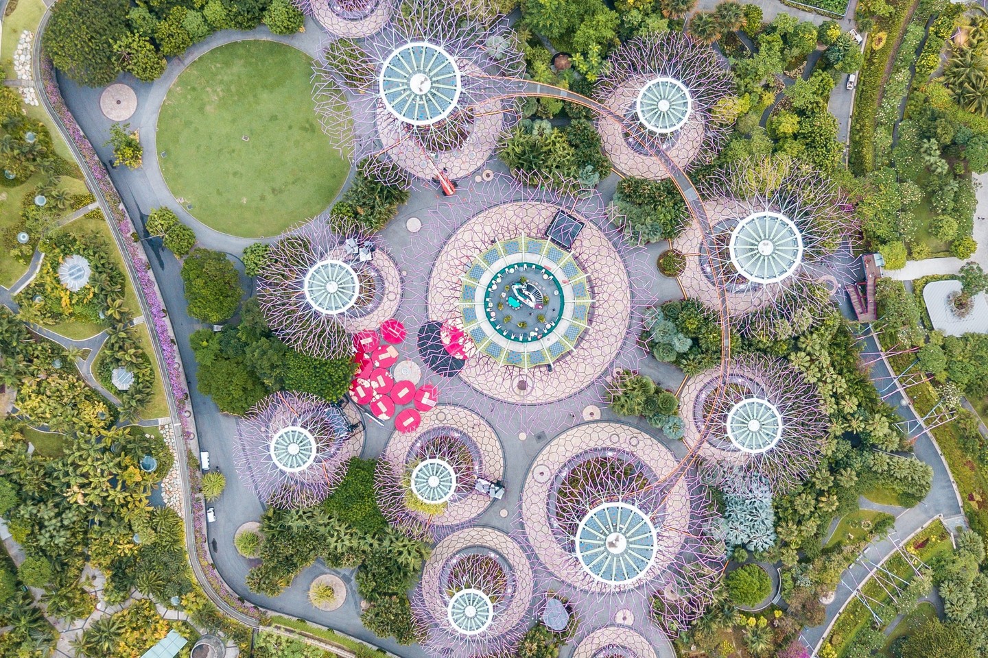 Solar-powered supertrees at Singapore's Gardens by the Bay. Image: Fahrul Azmi, via Unsplash