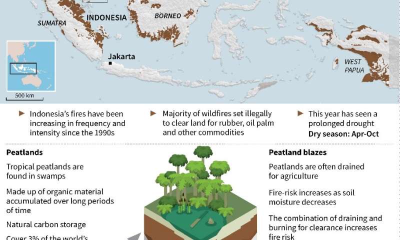 Graphic factfile on Indonesia's peatlands and forest fires.