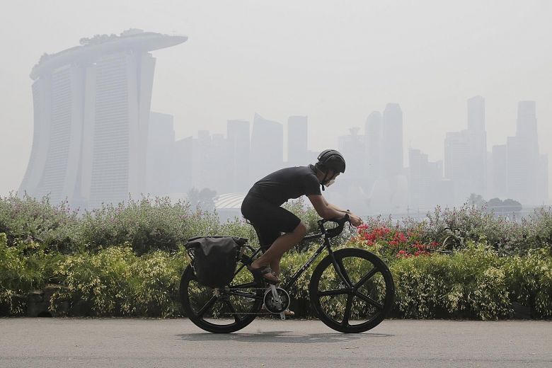 A cyclist wearing a mask while riding along Gardens by the Bay East in October 2015. That year, a severe El Nino worsened forest fires in Indonesia and caused the region to suffer its worst haze crisis on record. PHOTO: ST FILE