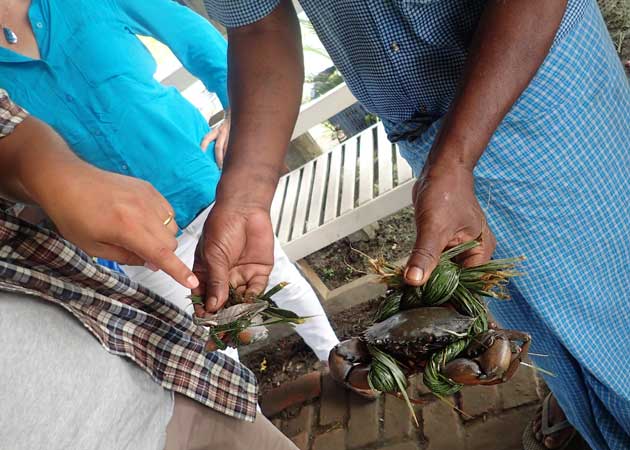 Village community members show us their catch of mud crabs that are ready to be sold to the buyer. Fishers know that selling juvenile or female crabs is not sustainable but they have few income options in remote areas.