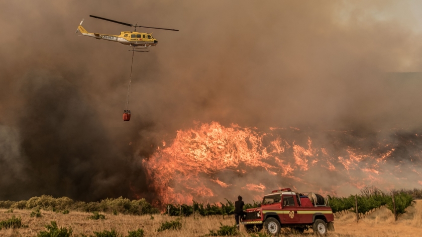 Wildfire disaster near Cape Town. Photo by Sullivan Photography