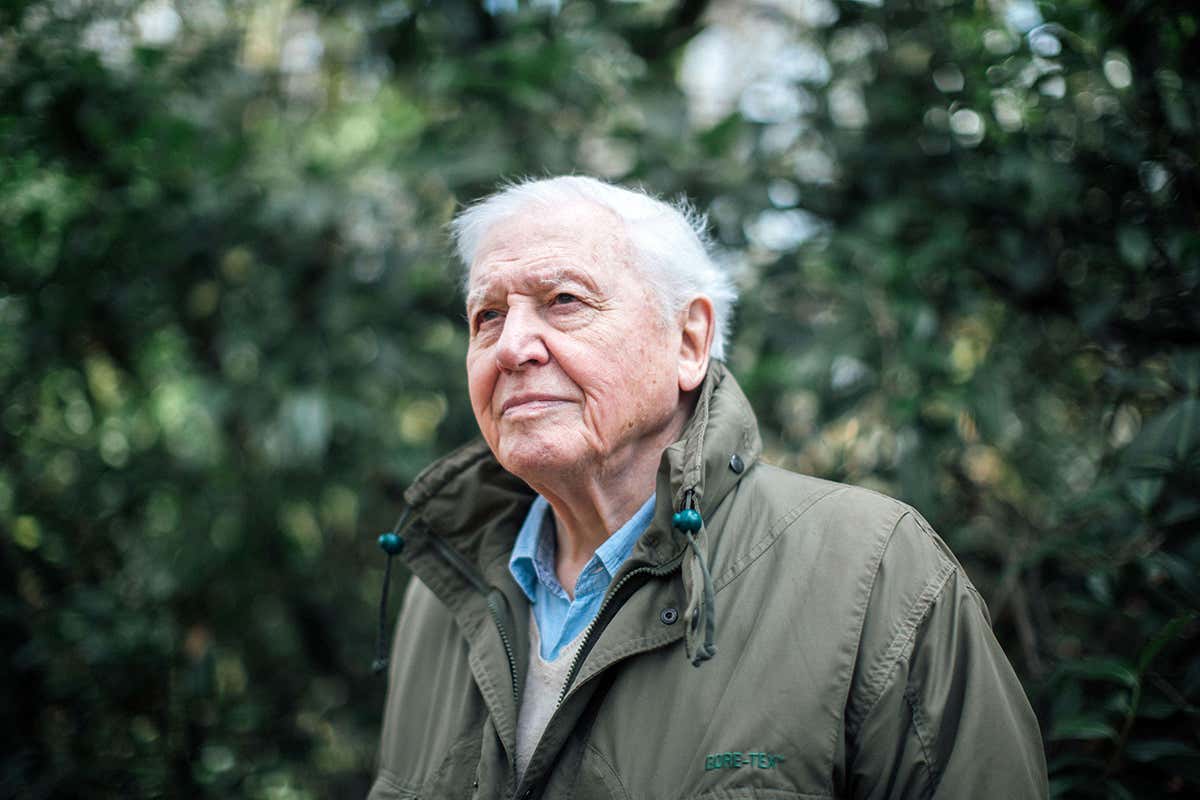 The David Attenborough documentary series Climate Change – the facts was the first BBC documentary to be aired in the prime time slot BBC Pictures