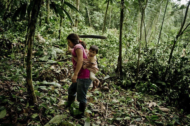 Indigenous peoples play a crucial role in the fight against deforestation, land degradation and climate change © Ingimage