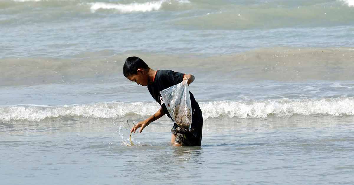 This file photo shows a boy collecting sea plants on the sea shore of the Tanahbure, Sulawesi province. (AFP Photo)