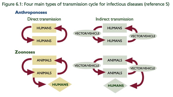An illustration showing an example of human-to-human disease transmission. World Health Organization