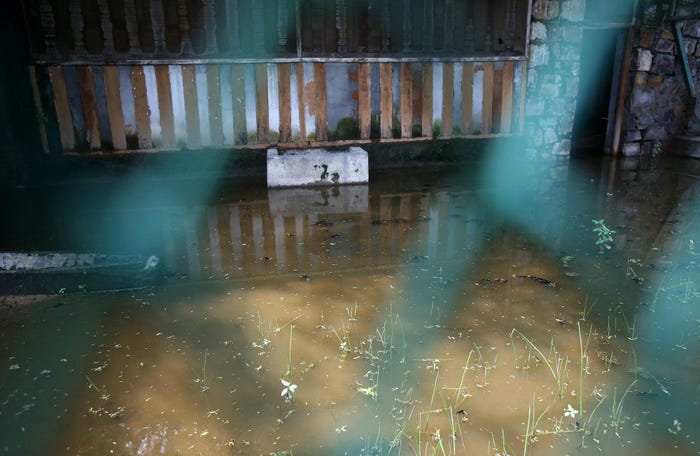 A view of the flooded Delhi Zoo, where Aedes mosquito larvae have been found at various places. Parveen Negi/The India Today Group via Getty Images