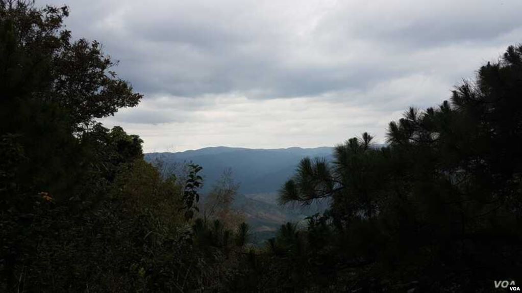 Part of Vietnam’s strategy to reduce carbon emissions is to promote reforestation, such as in the Central Highlands town of Da Lat. (VOA)