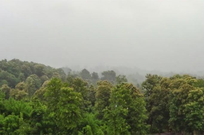 Forest in Yedashe Township, Taungoo District, Myanmar. Photo: Myanmar REDD+ Programme