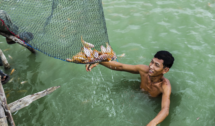Netting fish in a changing world. CamAdapt aims to support coastal fish-dependent communities in adapting to climate change. (Photo: US Agency for International Development)