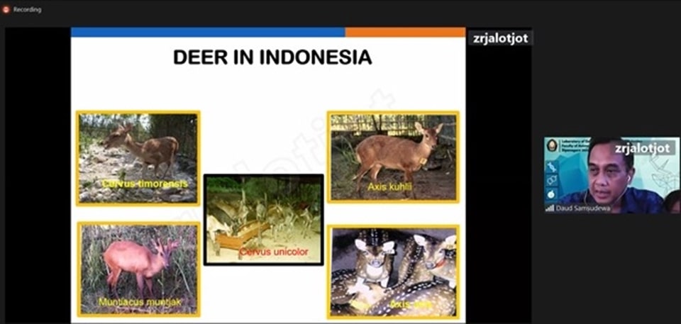 daad searca alumnus shares ecotourism program timor deer 03