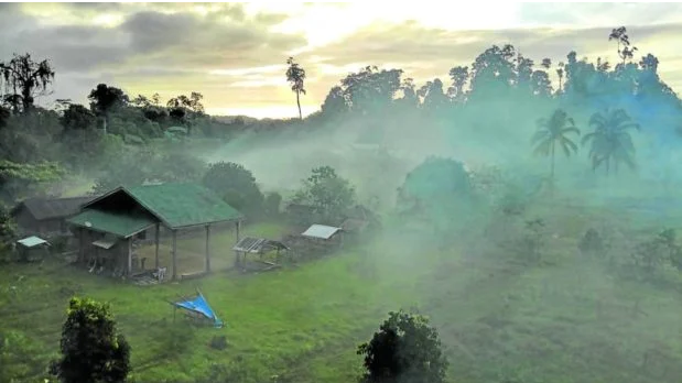 LOVING THE LAND MORE | Daybreak at a farmland cultivated by a Manobo community in Andap Valley, Surigao del Sur, where villagers are being taught to practice organic farming and produce their own fertilizers. Intercropping is also promoted to reduce the risk of plant disease and pest outbreaks while maintaining soil fertility. (Photo by KENNETH CADIANG / Contributor)