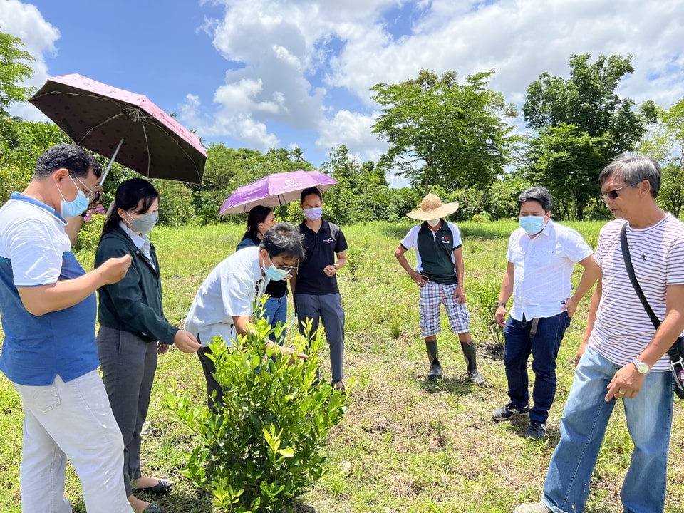 The project team during the monitoring of the Techno-Demo-Learning Site for Calamansi Research in MinSU.