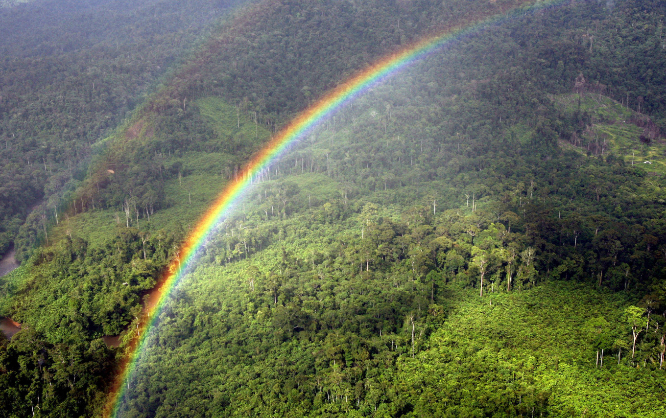 A rainbow forms over the Ulu Baram rainforest in the Miri interior, eastern Malaysian Borneo state of Sarawak, on Dec. 13, 2007. (AFP/AFP)  This article was published in thejakartapost.com with the title "The need for better protection of Malaysia’s forests - Academia - The Jakarta Post". Click to read: https://www.thejakartapost.com/opinion/2023/01/04/the-need-for-better-protection-of-malaysias-forests.html.   Download The Jakarta Post app for easier and faster news access: Android: http://bit.ly/tjp-android iOS: http://bit.ly/tjp-ios